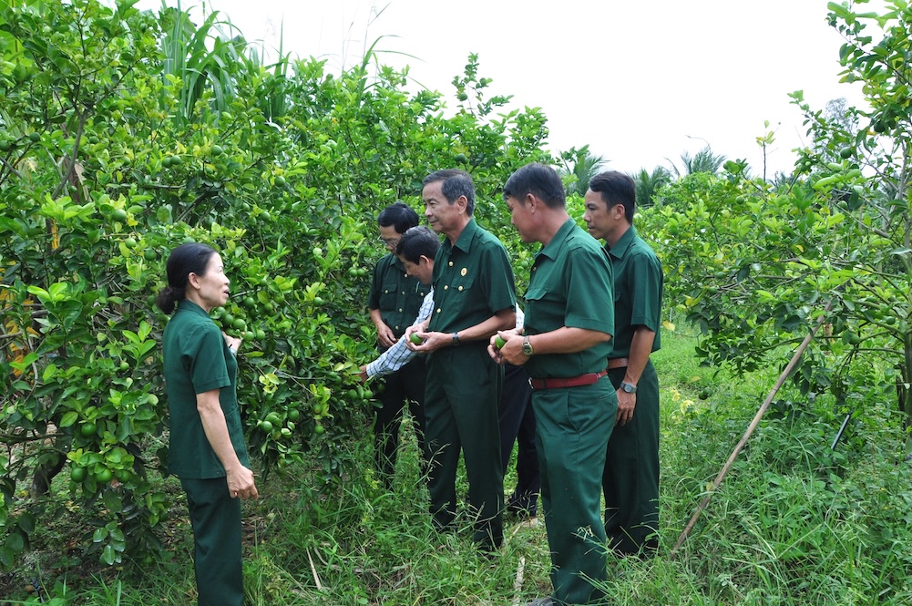 17-190-24 CCB huyện.JPG